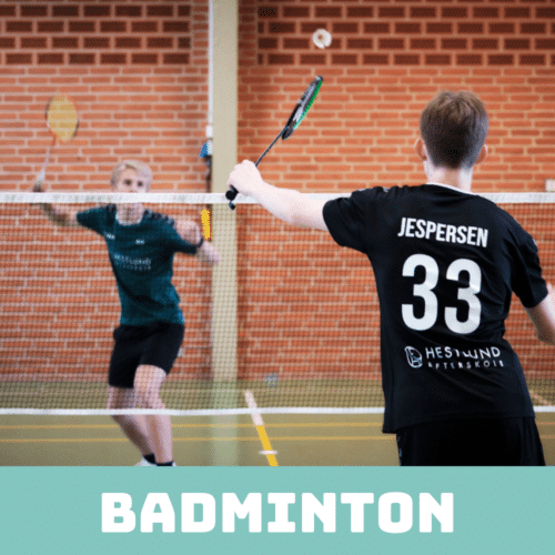 BADMINTON 1