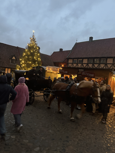 Juletur med Hestlund Efterskole